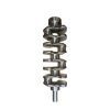 Kia 2.5 Diesel D4CB Forged 8 Web Crankshaft
